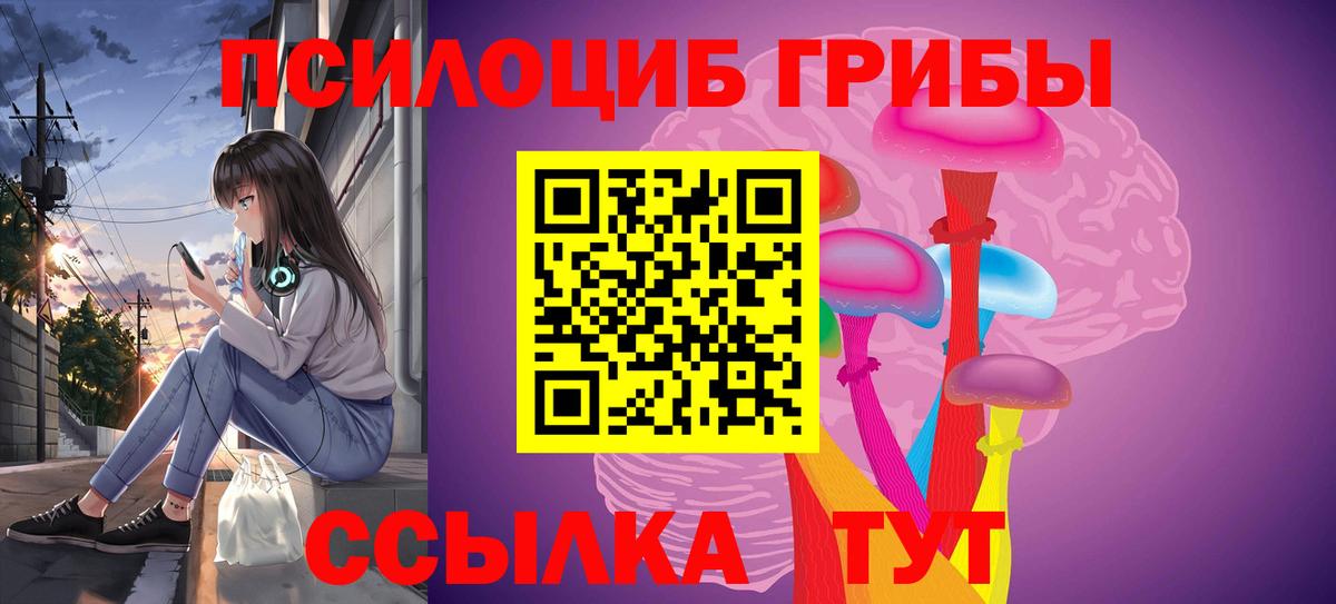 Галлюциногенные грибы GOLDEN TEACHER Надым